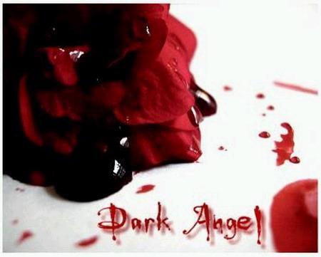 dark ange